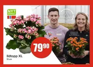 Spar Ildtopp XL tilbud