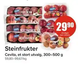 Spar Steinfrukter tilbud