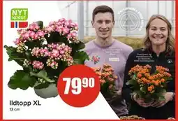 Spar Ildtopp XL tilbud