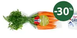 Joker BUNTGULROT tilbud