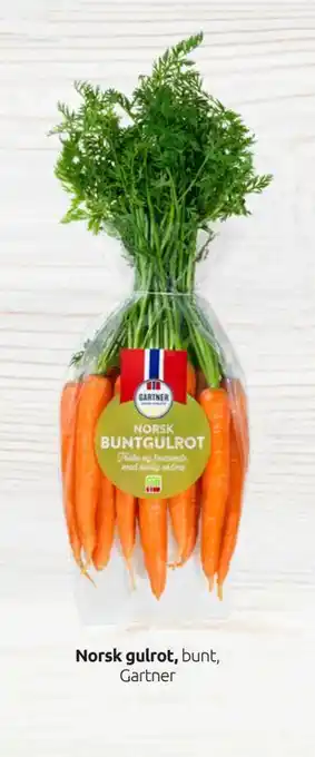 Norsk gulrot