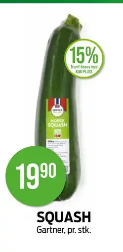 Kiwi SQUASH tilbud