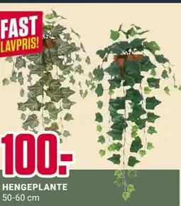 Europris HENGEPLANTE tilbud