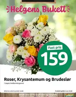 Joker Roser, Krysantemum og Brudeslør tilbud
