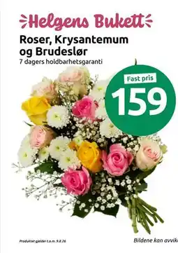 Joker Roser, Krysantemum og Brudeslør tilbud