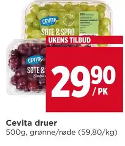 Meny Cevita druer tilbud