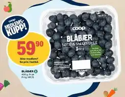 Matkroken BLÅBÆR, Medlemspris tilbud