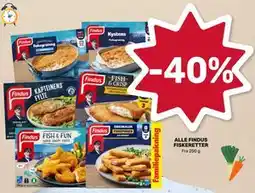 Matkroken ALLE FINDUS FISKERETTER tilbud