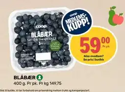 Matkroken BLÅBÆR, Medlemspris tilbud