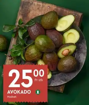 Coop Mega AVOKADO tilbud