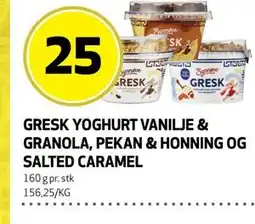 Bunnpris GRESK YOGHURT VANILJE & GRANOLA, PEKAN & HONNING OG SALTED CARAMEL tilbud