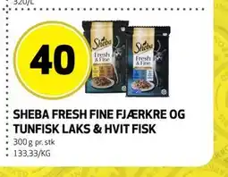 Bunnpris SHEBA FRESH FINE FJÆRKRE OG TUNFISK LAKS & HVIT FISK tilbud
