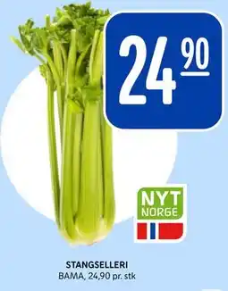 Rema 1000 STANGSELLERI tilbud