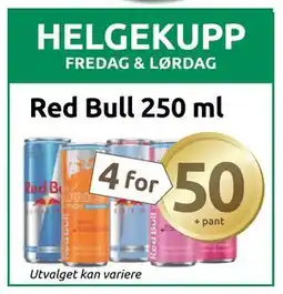 Joker Red Bull 250 ml tilbud