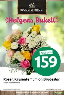 Joker Roser, Krysantemum og Brudeslør tilbud