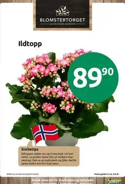 Joker Ildtopp tilbud