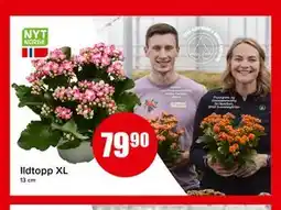 Spar Ildtopp XL tilbud
