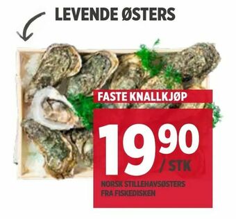 Meny Levende østers tilbud
