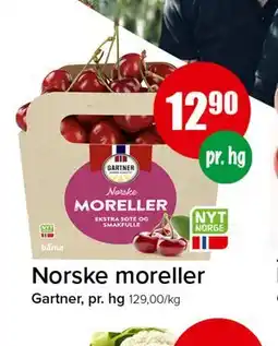Spar Norske moreller tilbud