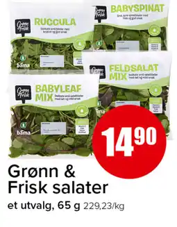 Eurospar Grønn & Frisk salater tilbud