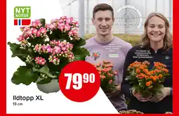 Eurospar Ildtopp XL tilbud
