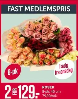 Europris ROSER, Medlemspris tilbud