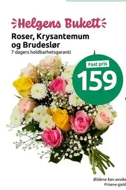 Joker Roser, Krysantemum og Brudeslør tilbud