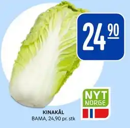 Rema 1000 KINAKÅL tilbud
