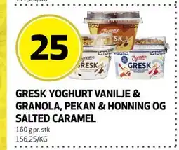 Bunnpris GRESK YOGHURT VANILJE & GRANOLA, PEKAN & HONNING OG SALTED CARAMEL tilbud