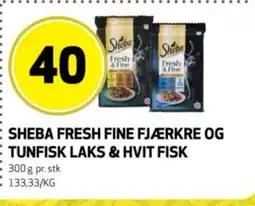 Bunnpris Sheba Fresh fine fjærkre og tunfisk laks & hvit fisk tilbud
