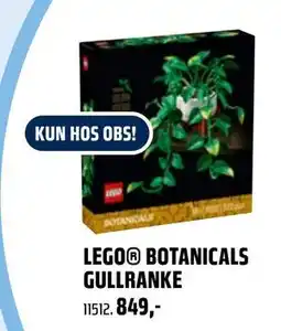 Coop Obs LEGO BOTANICALS GULLRANKE tilbud