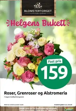 Joker Roser, Grenroser og Alstromeria tilbud