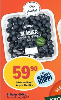 Coop Mega Blåbær, Medlemspris tilbud