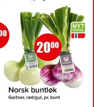 Norsk buntløk