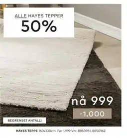 Skeidar ALLE HAYES TEPPER tilbud