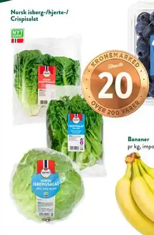Jacobs Norsk isberg-/hjerte-/ Crispisalat tilbud
