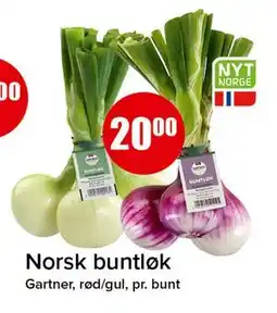 Spar Norsk buntløk tilbud