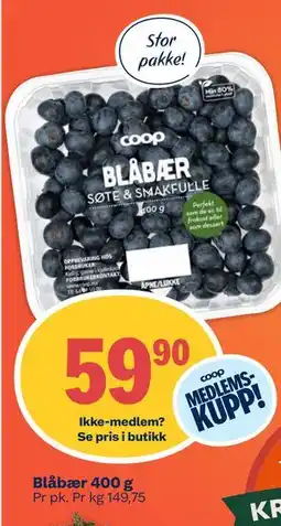 Coop Mega Blåbær, Medlemspris tilbud