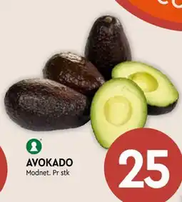 Coop Mega AVOKADO tilbud