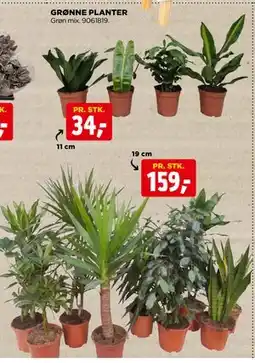jem & fix GRØNNE PLANTER tilbud