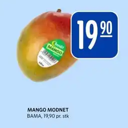 Rema 1000 Mango modnet tilbud