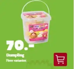 BR Leker Dumpling tilbud