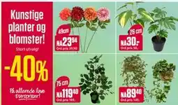 Europris Kunstige planter og blomster tilbud