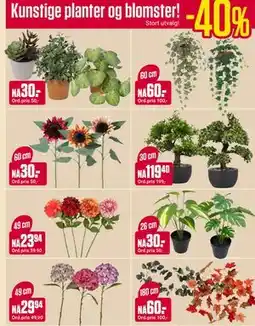Europris Kunstige planter og blomster! tilbud