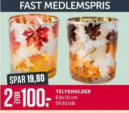Europris TELYSHOLDER, Medlemspris tilbud