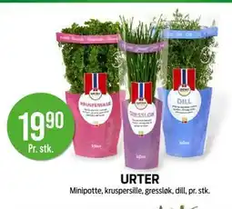 Kiwi URTER tilbud
