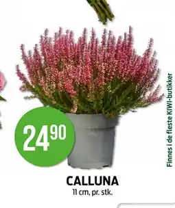 Kiwi CALLUNA tilbud