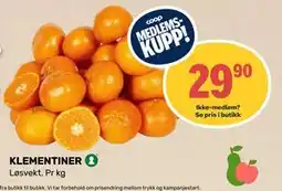 Matkroken KLEMENTINER, Medlemspris tilbud