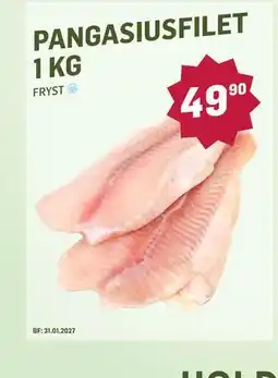Holdbart PANGASIUSFILET 1 KG tilbud