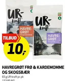 Bunnpris HAVREGRØT FRØ & KARDEMOMME OG SKOGSBÆR tilbud